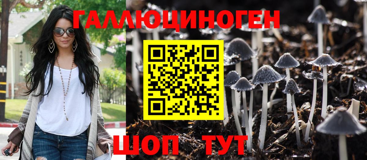 Псилоцибиновые грибы GOLDEN TEACHER  Псилоцибиновые грибы прущие грибы  Вход с VPN  Зима 